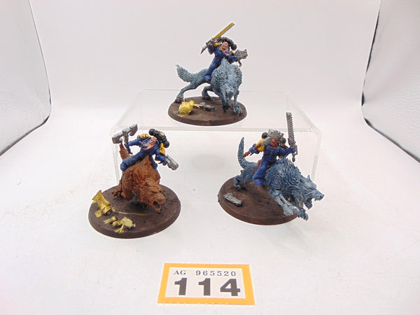 Thunderwolf Cavalry