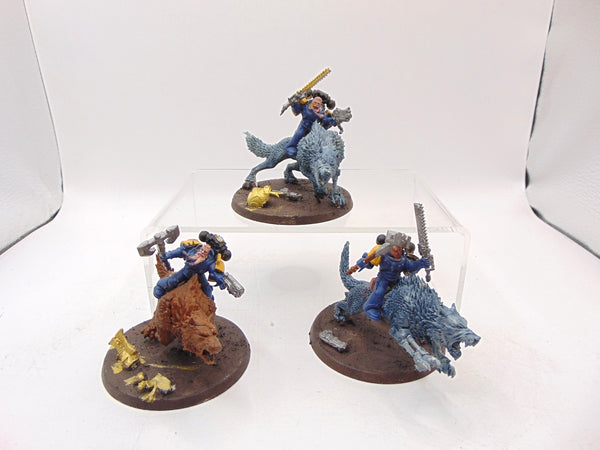Thunderwolf Cavalry