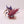 Winged Tyranid Prime