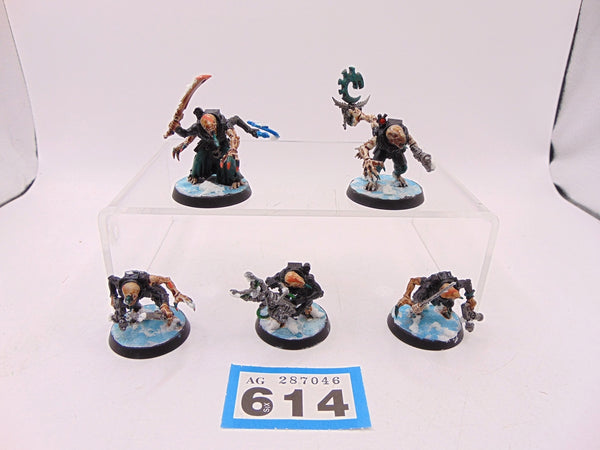 Acolyte Hybrids