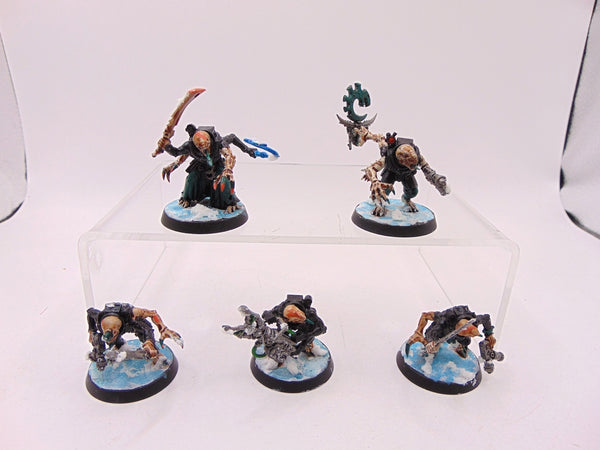 Acolyte Hybrids