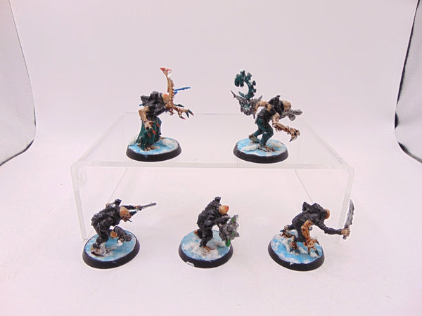 Acolyte Hybrids