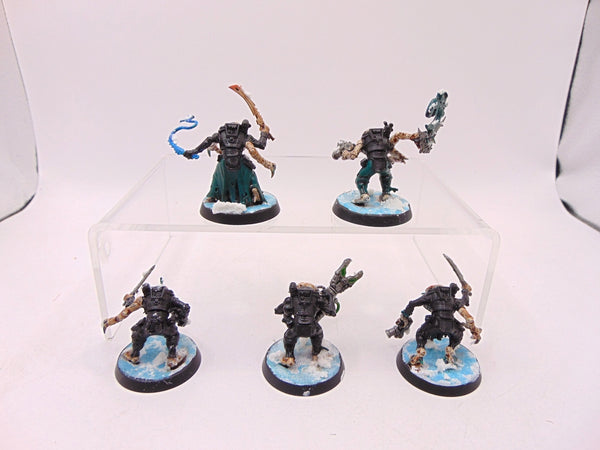 Acolyte Hybrids
