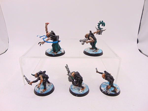 Acolyte Hybrids