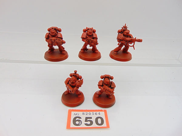 Blood Angels Combat Squad