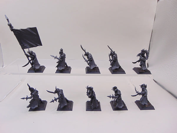 Black Ark Corsairs