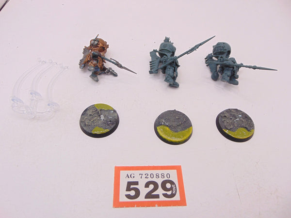 Skywardens