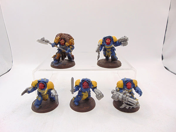 Wolf Guard Terminators