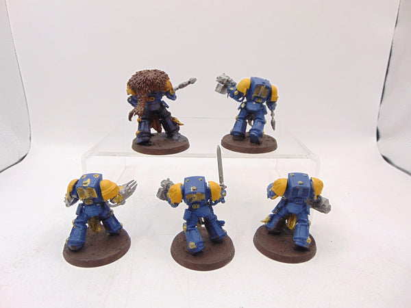 Wolf Guard Terminators