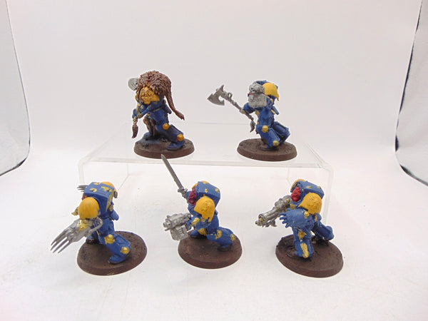 Wolf Guard Terminators