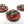 Canoptek Scarab Swarms