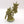 Plague Marine Icon Bearer