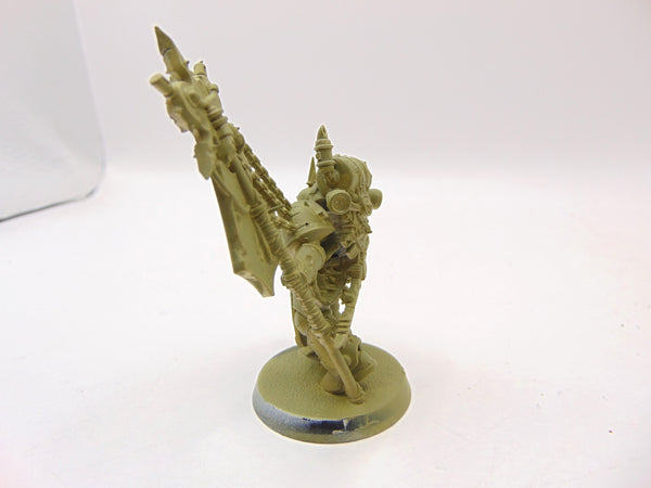 Plague Marine Icon Bearer
