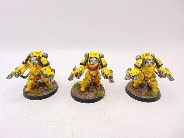 Aggressors