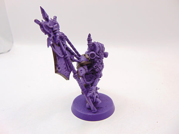 Plague Marine Icon Bearer