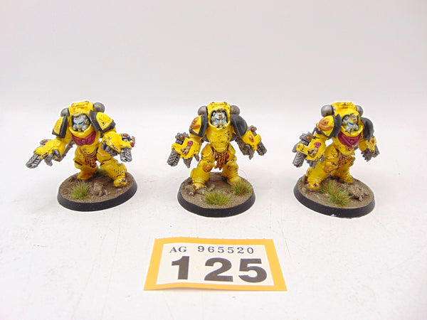 Aggressors