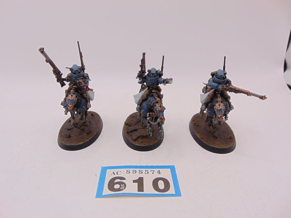 Serberys Raiders