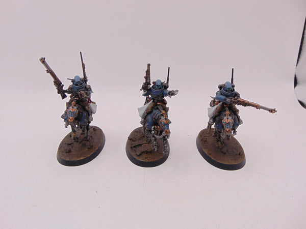 Serberys Raiders