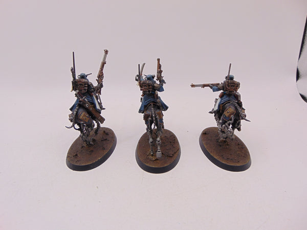 Serberys Raiders