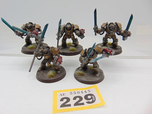 Brotherhood Terminator Squad