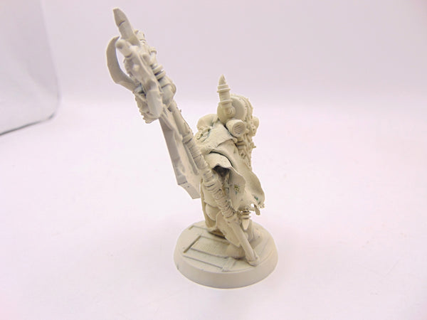 Plague Marine Icon Bearer