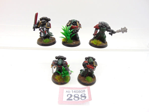 Dark Angels Veterans / Fallen