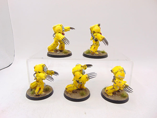 Terminator Assault Squad