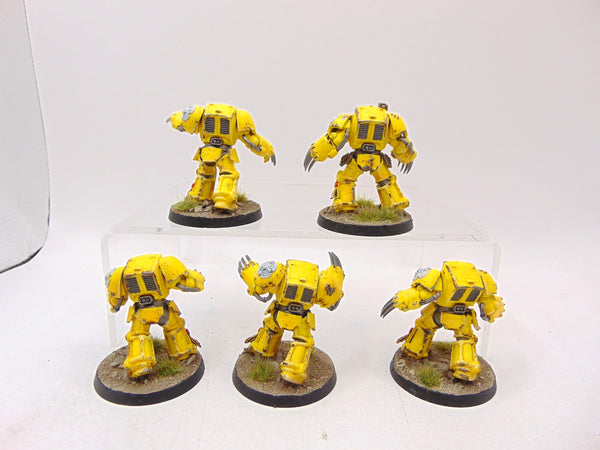 Terminator Assault Squad