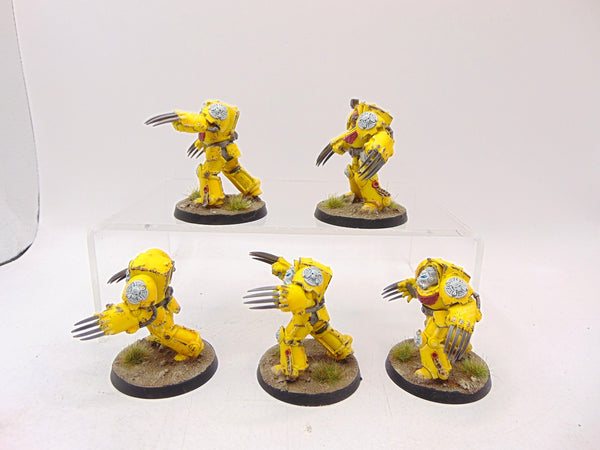 Terminator Assault Squad