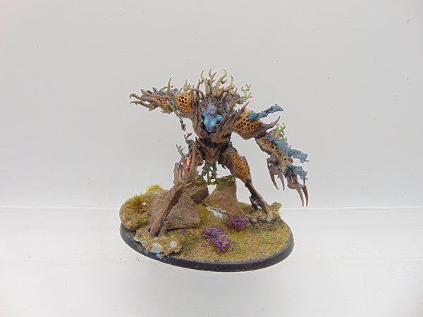 Drycha Hamadreth