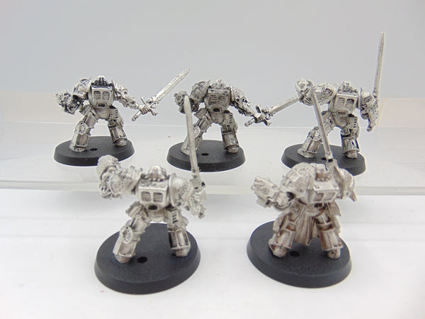 Brother Captain and Terminators