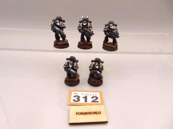 Sternguard Veterans Conversion