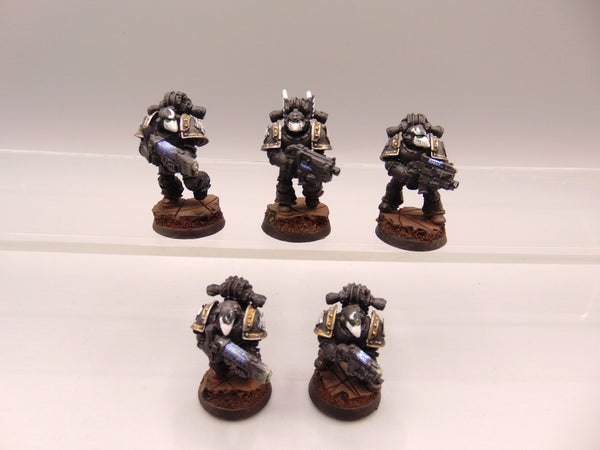 Sternguard Veterans Conversion