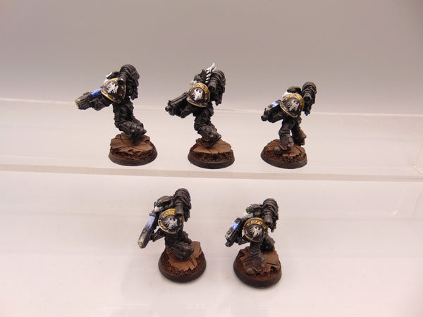 Sternguard Veterans Conversion