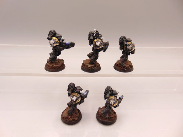 Sternguard Veterans Conversion
