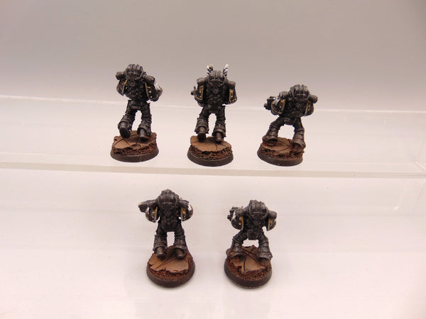 Sternguard Veterans Conversion