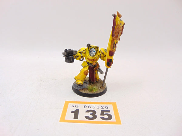 Ancient in Terminator Armour