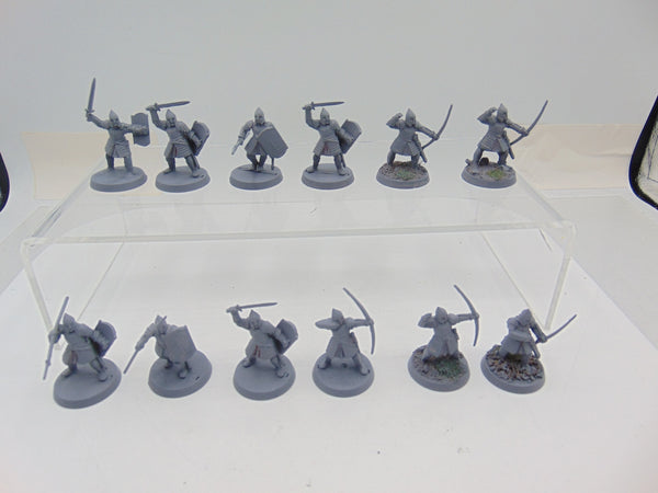 Warriors of Minas Tirith
