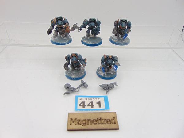 Wolf Guard Terminators