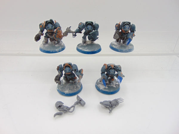 Wolf Guard Terminators