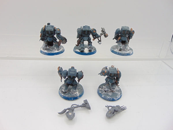 Wolf Guard Terminators