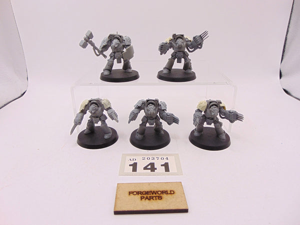 Terminator Assault Squad