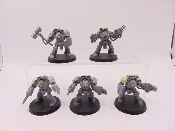 Terminator Assault Squad