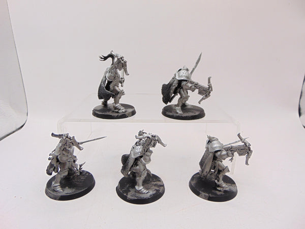 Vanguard Hunters