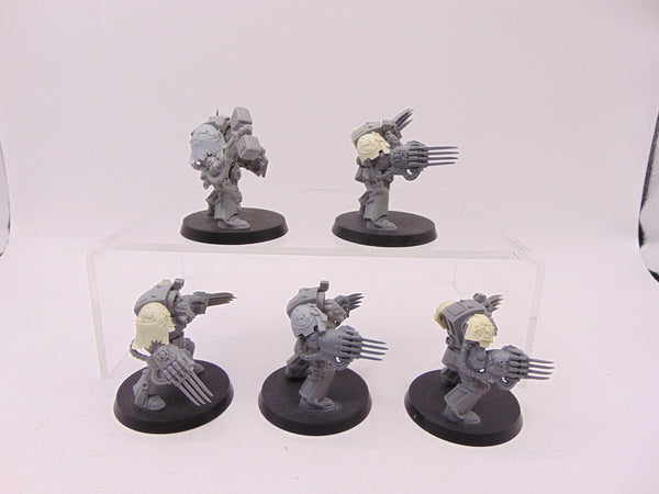 Terminator Assault Squad