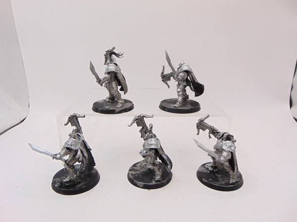 Vanguard Hunters