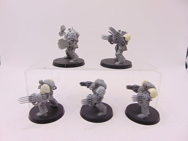 Terminator Assault Squad