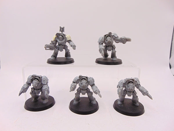 Terminator Assault Squad