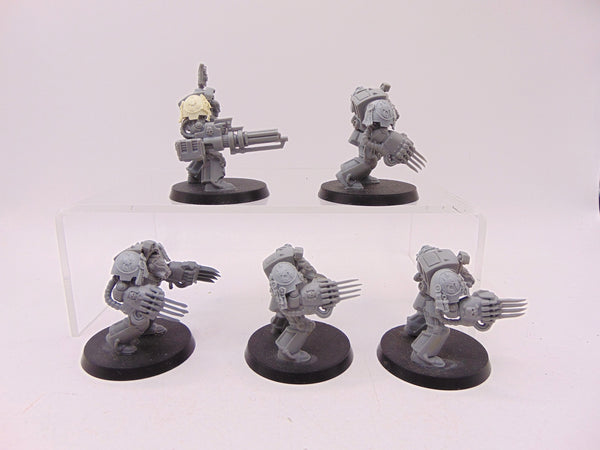 Terminator Assault Squad