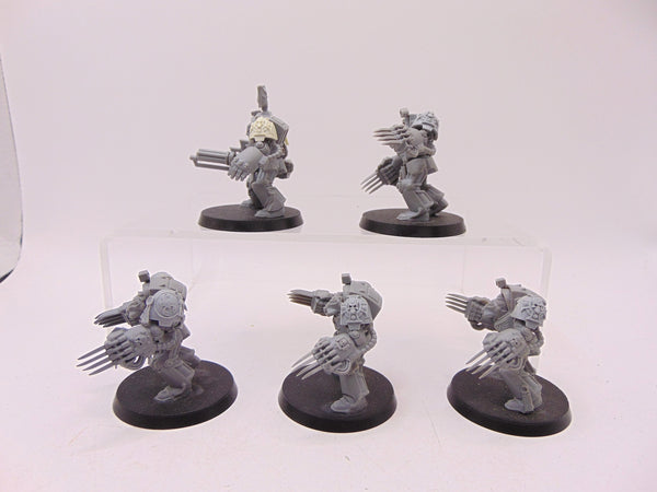 Terminator Assault Squad